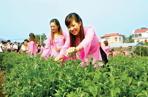 Nhiều quốc gia tham gia Festival Trà Thái Nguyên lần thứ 2 năm 2013